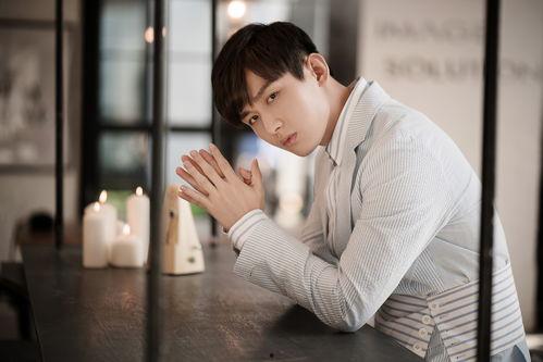 成毅爆料最新消息视频播放,揭秘幕后故事与精彩瞬间  第2张