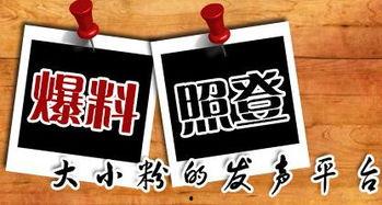 重庆今日爆料新闻最新,考古专家揭秘千年之谜 第1张 重庆今日爆料新闻最新,考古专家揭秘千年之谜 第1张